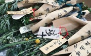 【溪畔撷音】“爸爸故事团”之好书推荐第52期
