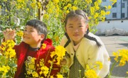 【简讯】春分至 趣玩春——木渎中心幼儿园小班组“春分”节气活动