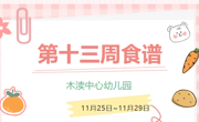 2024秋第十三周（11月25日-11月29日）